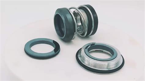 high quality double face mechanical seals type  mechanical seal  chemical  lkh pump
