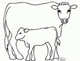 Cow Coloring Pages Dairy Calf Kids Drawing Printable Cartoon Angus Comments Animal Getdrawings Coloringhome Popular sketch template