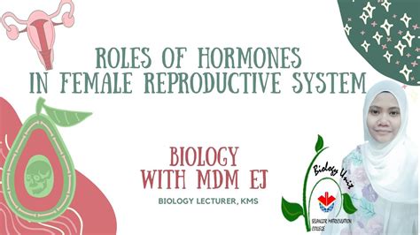 Roles Of Hormones In Female Reproductive System Biology Matriculation