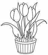 Coloring Pages Tulips Flowers Spring Tulip Color Crafts Print sketch template