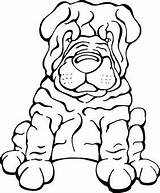 Shar Pei Dog Decal Chinese Myshopify Angrysquirrel Sold Dogs Coloring Pages sketch template