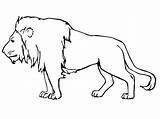 Lion Male Coloring Pages Face Template Kids Printable African sketch template