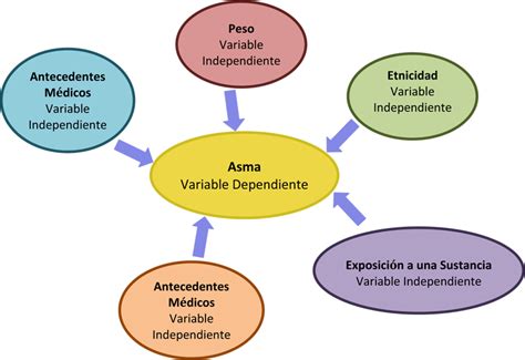 Módulo 3 Elementos De La Investigación Ori The Office Of Research