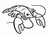 Lobster Coloring Smiling Colorear Drawing Kids Coloringcrew Print Animals Sea Getdrawings Clipartmag sketch template