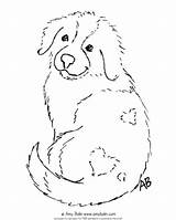Coloring Sheet Puppy Dog Pyrenees Great Mountain Bolin Amy Bernese Bernard Saint Mistletoe Retriever Golden Under Cart Added Been Item sketch template