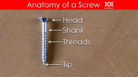 types  screws       images