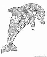 Ausmalbilder Tiere Erwachsene Volwassenen Delfin Colorare Dieren Dolphin Disegni Delfino Malvorlagen Zentangle Delfine Schwer Muster Drucken Ist Malvorlage Dort Colouring sketch template