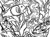 Coloring Pages Kelp Forest Monterey Bay Ocean Outline Drawing Otter Life Aquarium Getdrawings Getcolorings Color sketch template