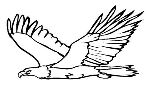 flying eagle coloring pages