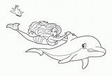 Coloring Dolphin sketch template