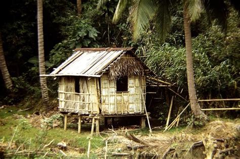 farmers nipa hut philippine islands  lived    bigger     child