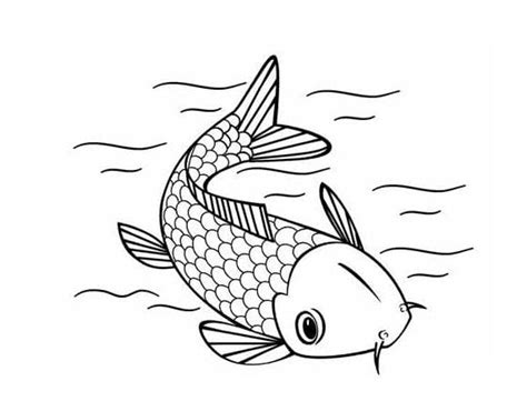 fish outline coloring page  print  color