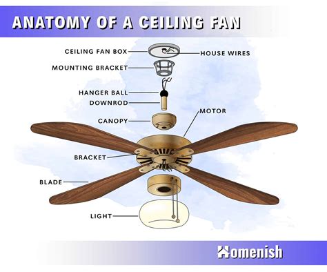 parts   ceiling fan  illustrated diagram homenish