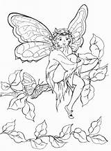 Elfe Coloriage Elfo Papillons Imprimer Elfes Elfos Colorier sketch template