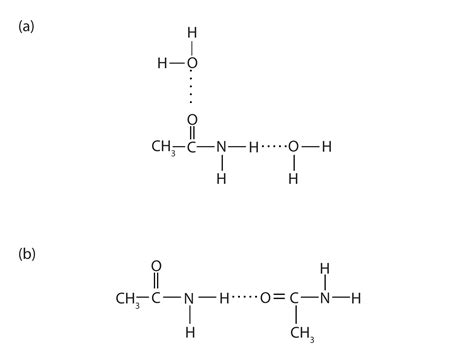 physical properties  amides
