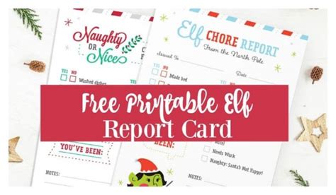 barb camp  printable elf report card