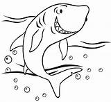 Megalodon Coloring Shark sketch template