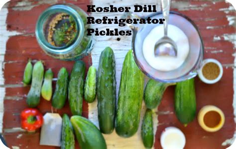 easy dill homemade refrigerator pickles