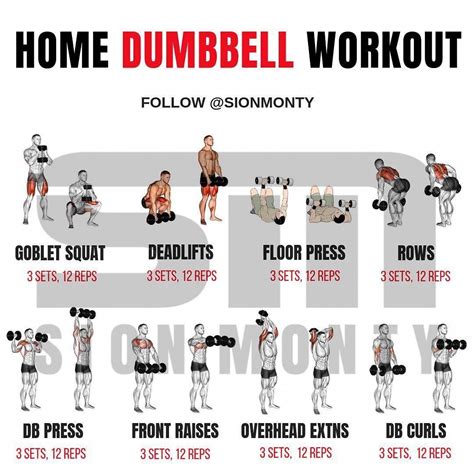 fitnesstrainingsites dumbbell workout at home full