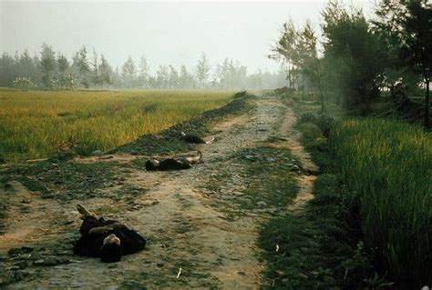 Opinion The Truth Behind My Lai The New York Times