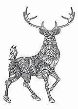 Coloring Pages Hunting Deer Elk Getcolorings Color Printable sketch template