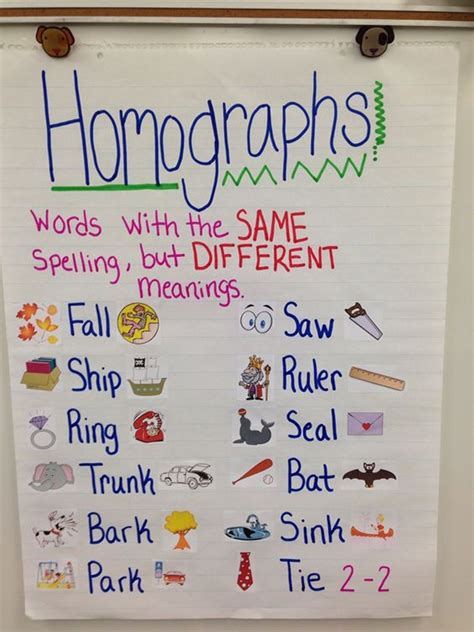 list  homographs  english teaching phonics homographs anchor