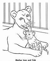 Zoo Printable Cub sketch template