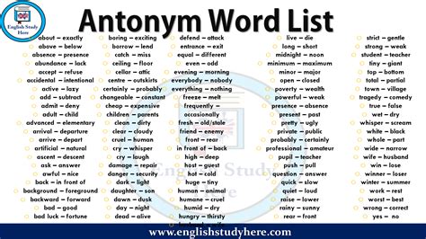 antonym word list english study