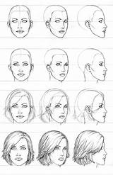 Face Draw Beginners Drawing Pro Tutorial Perspective Faces Female Daniell Woman sketch template