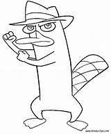 Coloring Pages Platypus Perry Ferb Phineas Printable Comments Library Popular Coloringhome sketch template