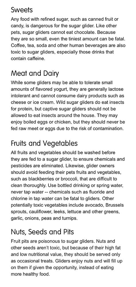 foods   toxic  sugar gliders sugar gliders sugar glider food sugar glider