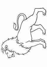 Coloring Singa Lion Kolorowanki Strona Mewarna Kertas Zwierzęta Halaman Lwami Kanak sketch template