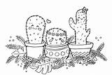 Kaktus Ausmalbilder Kakteen Malvorlagan Malvorlagen sketch template