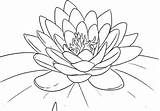 Flower Hawaiian Coloring Pages Printable Flowers Color Getcolorings Colo Print sketch template