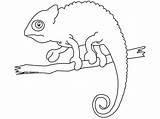 Chameleon 1393 Coloring Animals Printable Pages Kb Drawing Coloriage Caméléon sketch template