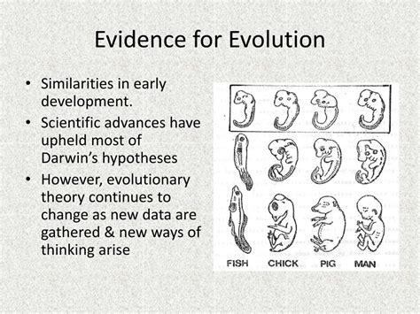 Ppt Ch 15 “darwins Theory Of Evolution” Powerpoint Presentation Id