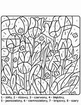 Kolorowanki Rysunek Kolorowanka Według Numery Druku Pokoloruj Dzieci Wydruku Wedlug Darmo Numerów Malowanki Obrazki Numerow Obrazek Kwiaty sketch template