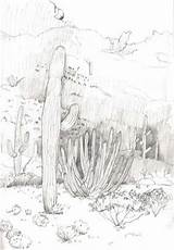 Cactus Monument Organ Pipe Drawing National Tucson Mountain sketch template
