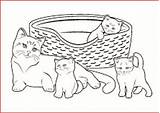 Katzenbabys sketch template