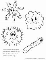 Germs Coloring Kids Crystalandcomp Science sketch template