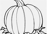 Gourd Getdrawings sketch template