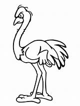 Ostrich Coloring Pages Template Drawing Printable Kids African Print Angry Animal Colouring Templates Clipart Getdrawings Bestcoloringpagesforkids sketch template