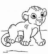 Simba Coloring Lion Pages King Baby Bebe Cub Dibujos Printable Getcolorings Disney Clipartmag Choose Board Cute Little sketch template