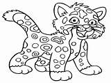 Cheetah Coloring Pages Baby Jaguar Leopard High Animal Printable Drawing Little Rica Costa Quality Snow Print Easy Animals Color Jaguars sketch template