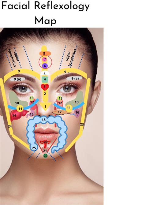 facial reflexology courses in ireland online start now