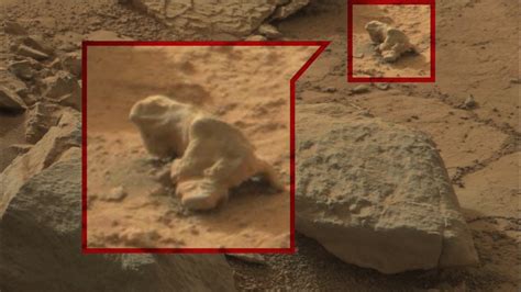 Searching For Alien Life In Mars Photos Cnn Video