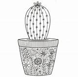 Cactus Coloring Zentangle Pages Book Choose Board Books sketch template