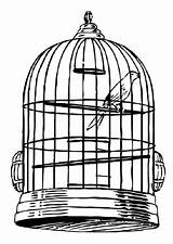 Cage Gabbia Kleurplaat Uccellino Kooi Vogel Jaulas Birdcage Jaula Oiseau Oiseaux Kleurplaten Perico Template Dessins Schoolplaten Educol Depuis sketch template