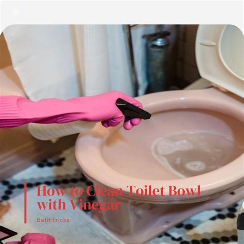 clean toilet bowl  vinegar  comprehensive guide
