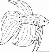 Fish Betta Coloring Pages Beta Print Printable Fighting Siamese Designlooter Color Search Getcolorings Again Bar Case Looking Don Use Find sketch template